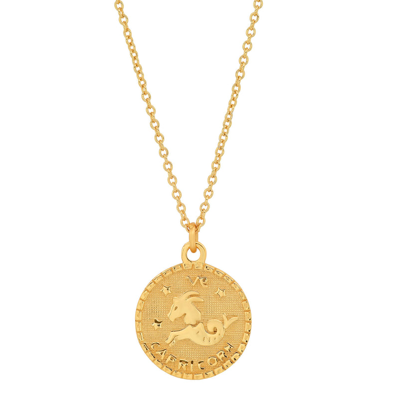Kirstin Ash | Gold Plated Capricorn Zodiac Necklace | Silvermoon Jewellers